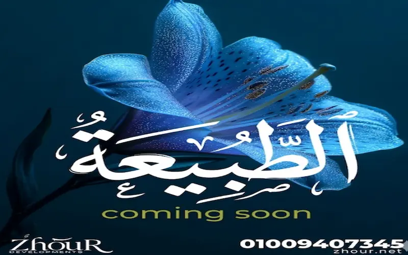 شركة زهور للتطوير العقاري zhour development